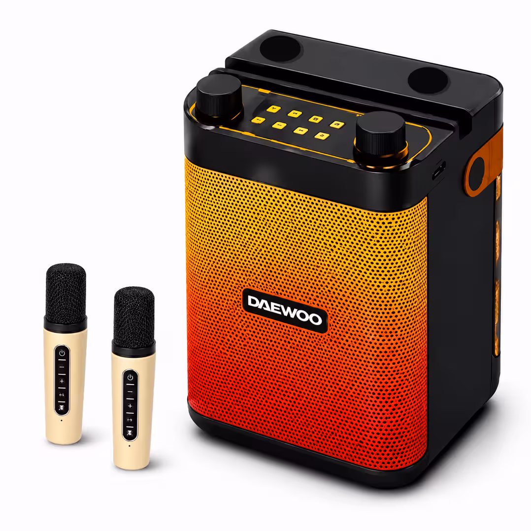 Daewoo Karaoke Speaker
